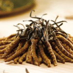 Cordyceps